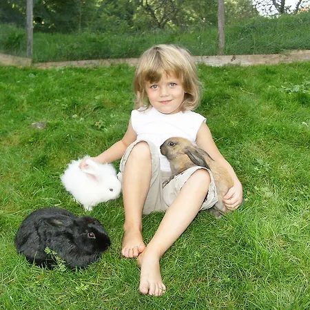 ファームステイ Bussjaegerhof Böbing