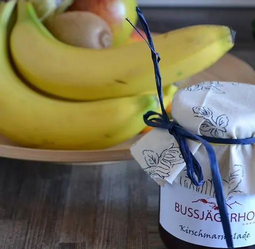 Feriegård Bussjaegerhof Böbing