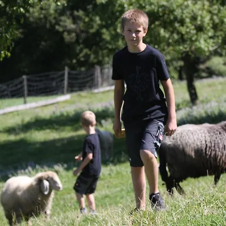Farm stay Bussjaegerhof *
