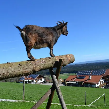 Farm stay Bussjaegerhof Schonberg (Rottenbuch)